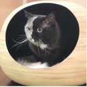 DANDY CAT - Panier BALL Noir