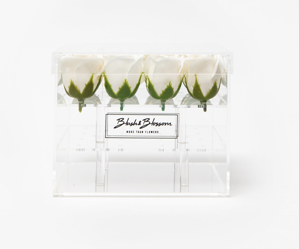 BLUSH & BLOSSOM - Coffret Clear 16 Roses