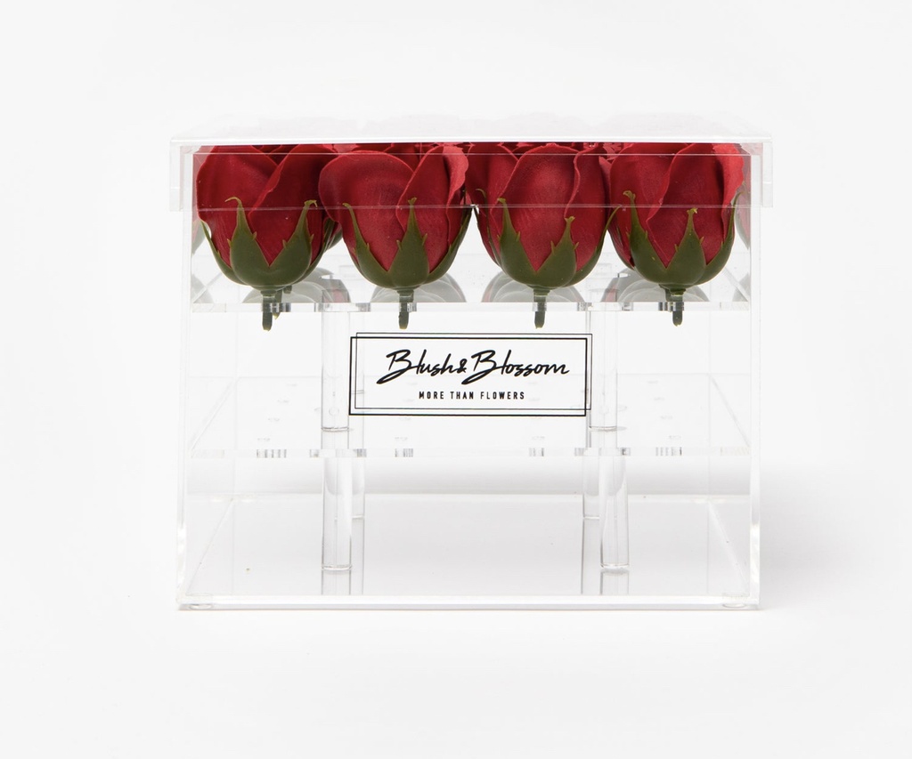 BLUSH & BLOSSOM - Coffret Clear 16 Roses