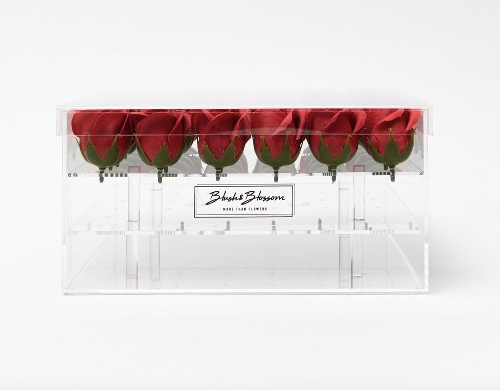 BLUSH & BLOSSOM - Coffret Clear 36 Roses